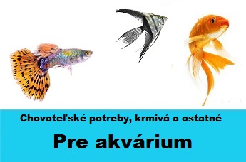 akvaristika